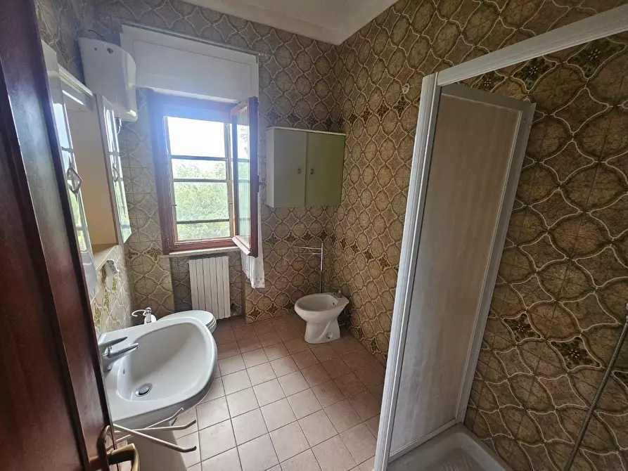 Immagine 30 di Appartamento in vendita  a Collesalvetti