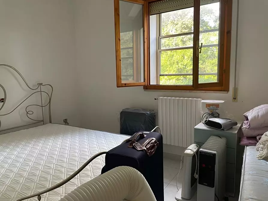 Immagine 15 di Appartamento in vendita  a Collesalvetti