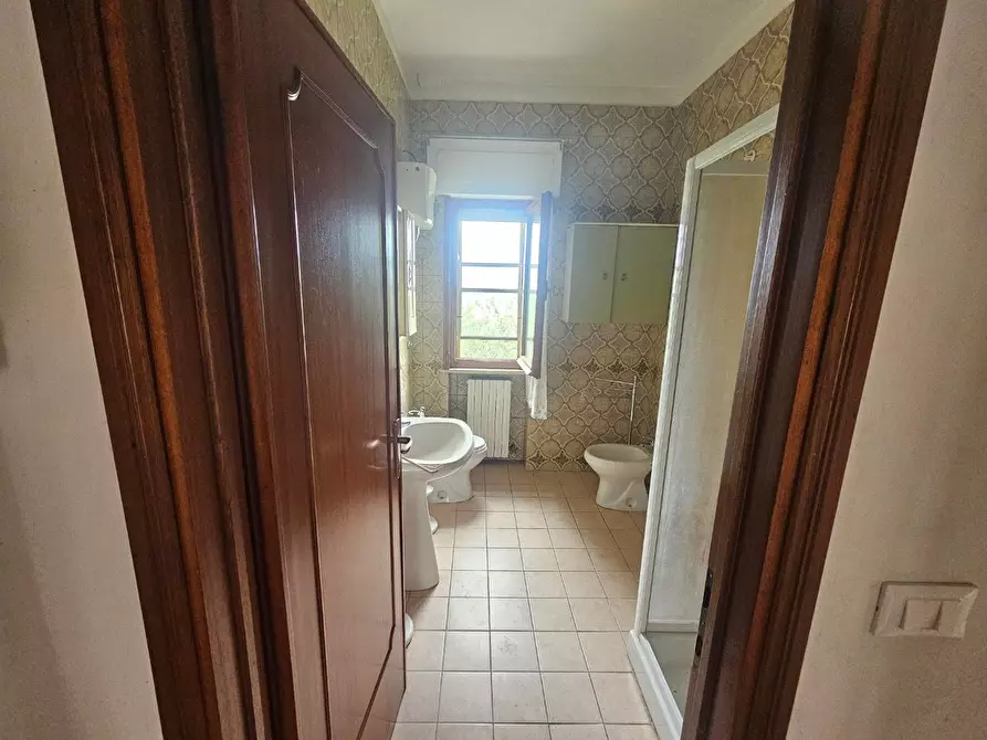 Immagine 29 di Appartamento in vendita  a Collesalvetti