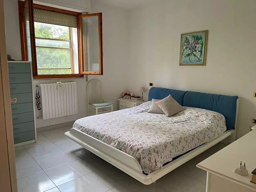 Immagine 14 di Appartamento in vendita  a Collesalvetti