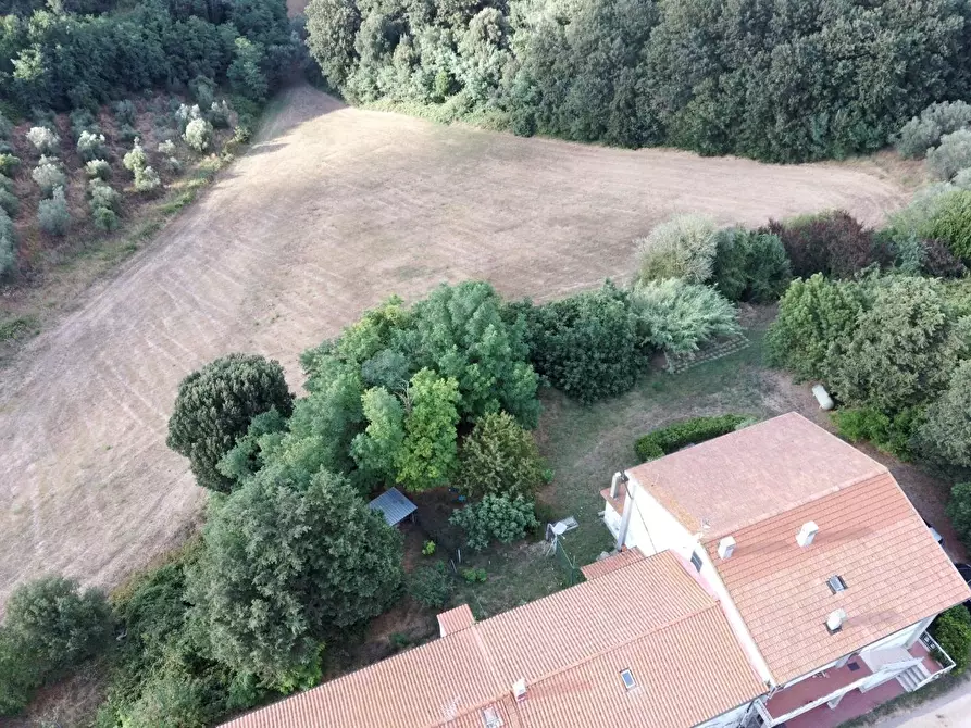 Immagine 4 di Appartamento in vendita  a Collesalvetti