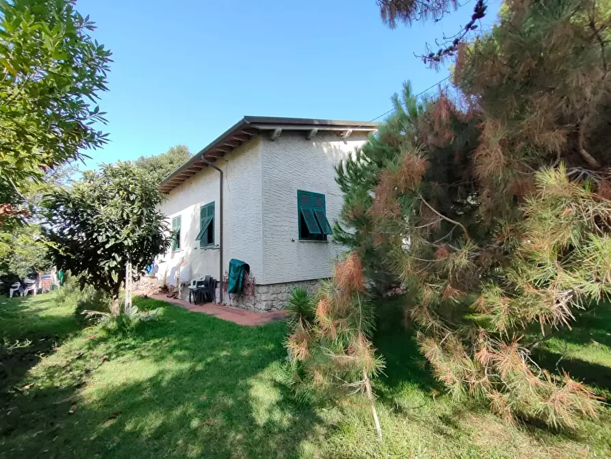 Immagine 4 di Villa in vendita  a Massa