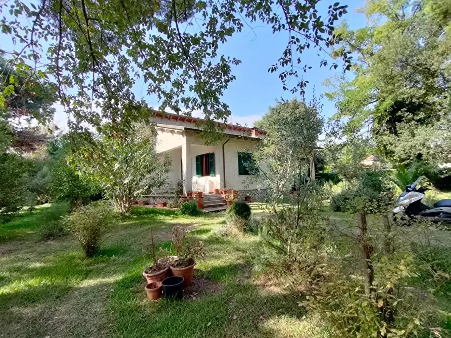 Immagine 5 di Villa in vendita  a Massa