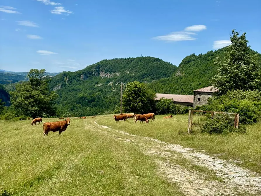 Immagine 4 di Casa colonica in vendita  a Firenzuola