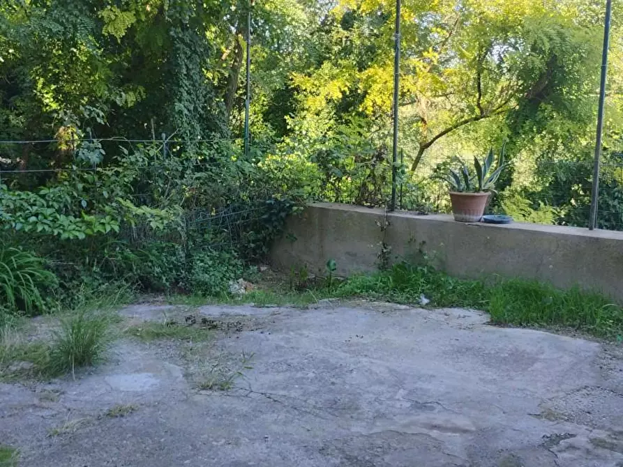 Immagine 1 di Terratetto in vendita  a Crespina Lorenzana