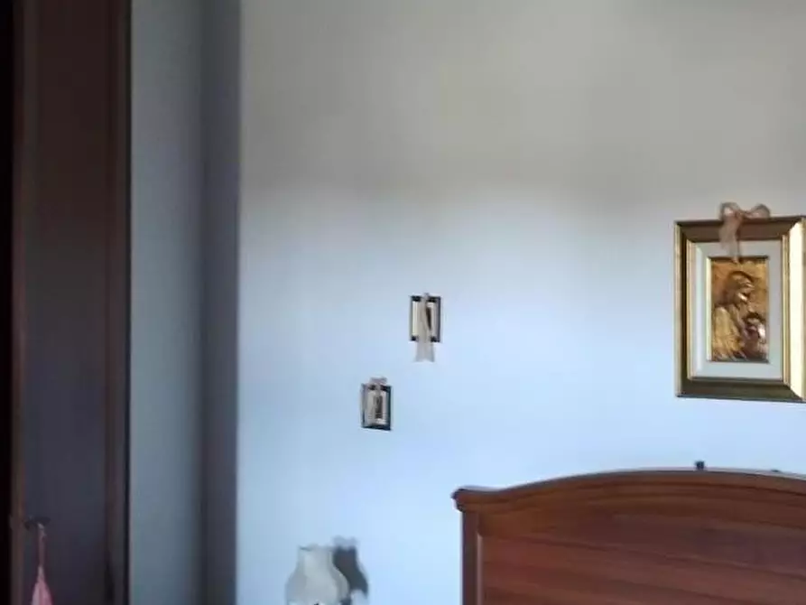 Immagine 14 di Terratetto in vendita  a Crespina Lorenzana