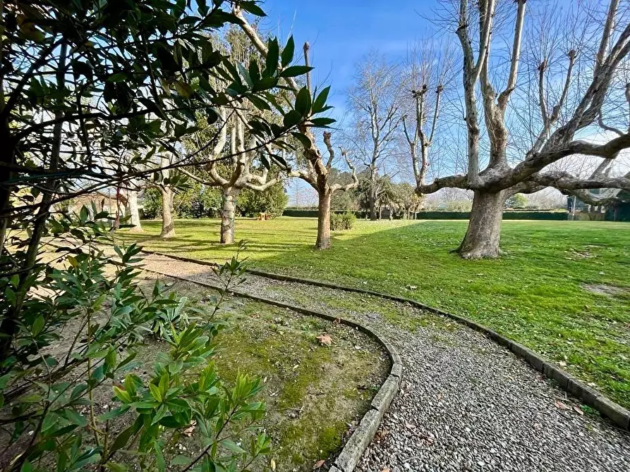 Immagine 18 di Appartamento in vendita  a Pontedera