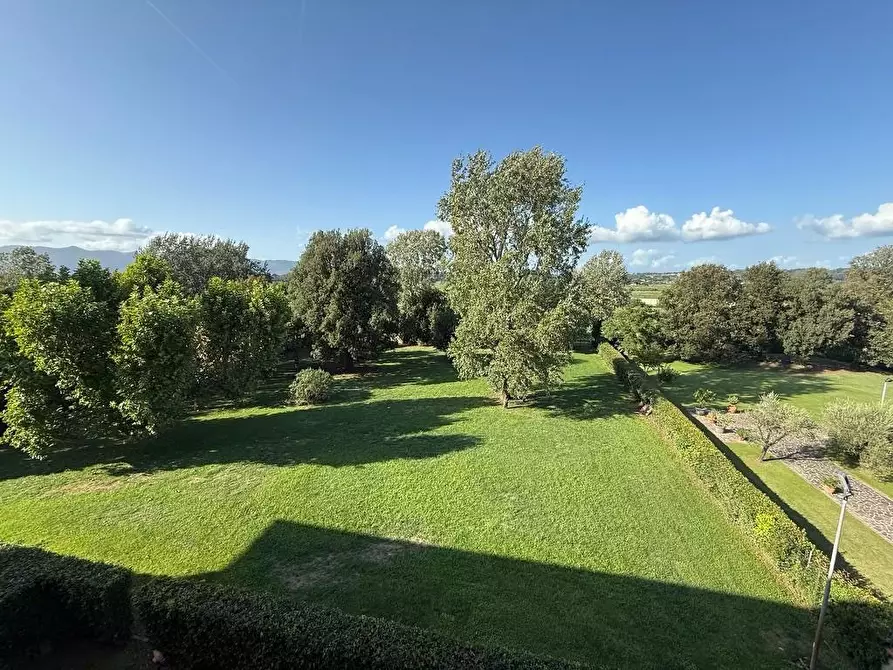 Immagine 19 di Appartamento in vendita  a Pontedera