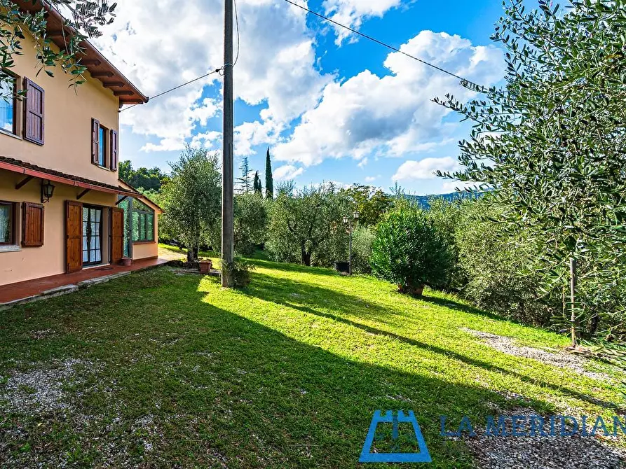 Immagine 36 di Casa indipendente in vendita  a Pieve A Nievole