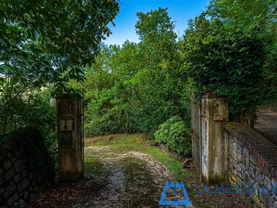 Immagine 30 di Casa indipendente in vendita  a Pieve A Nievole