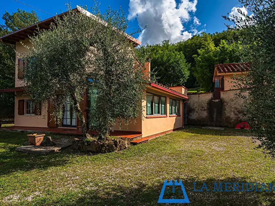 Immagine 34 di Casa indipendente in vendita  a Pieve A Nievole