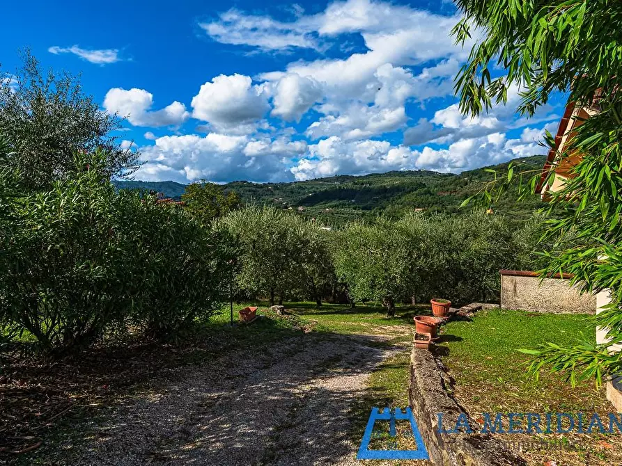 Immagine 23 di Casa indipendente in vendita  a Pieve A Nievole
