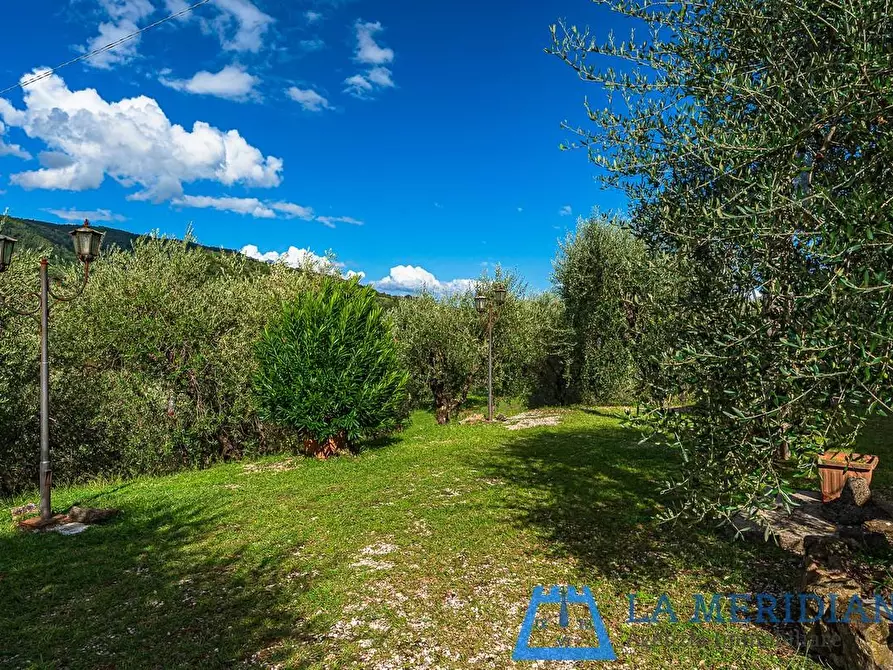 Immagine 33 di Casa indipendente in vendita  a Pieve A Nievole