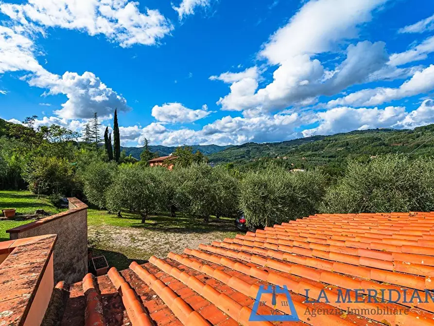 Immagine 25 di Casa indipendente in vendita  a Pieve A Nievole