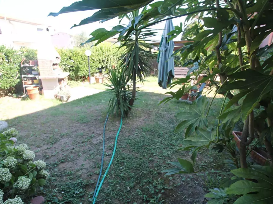 Immagine 14 di Appartamento in vendita  a Pisa