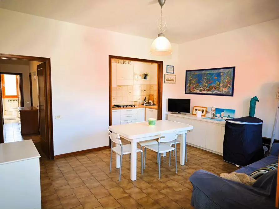 Immagine 5 di Appartamento in vendita  a Massa
