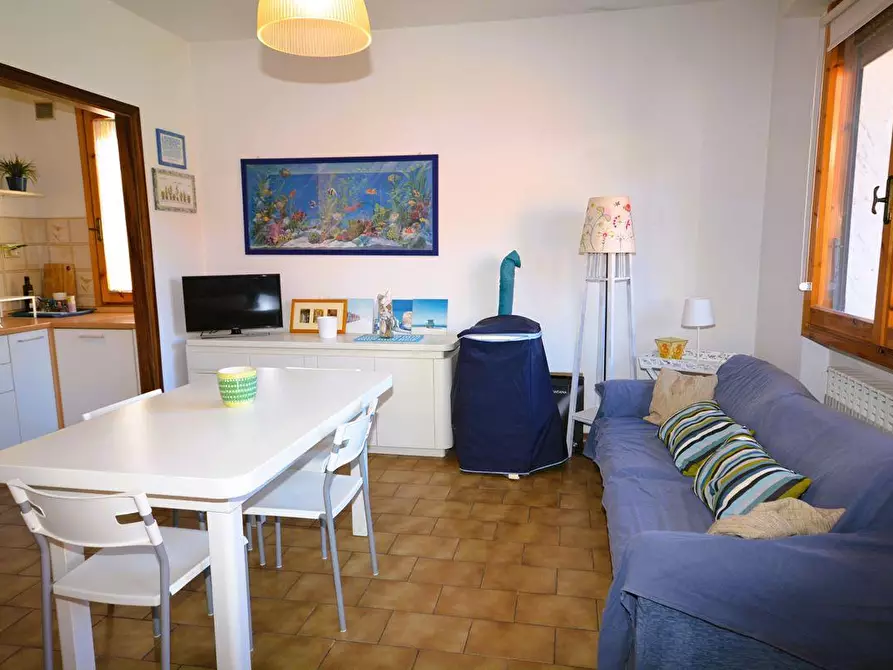 Immagine 6 di Appartamento in vendita  a Massa