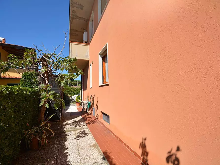 Immagine 23 di Appartamento in vendita  a Massa