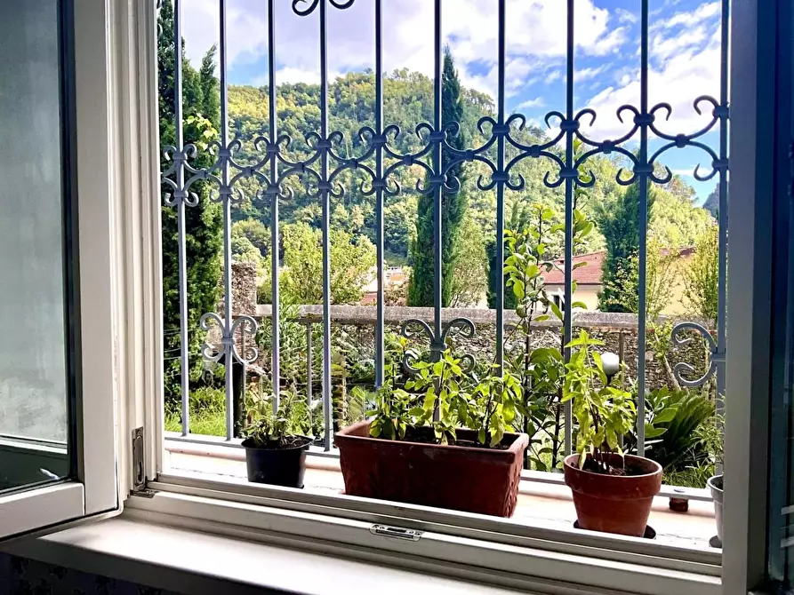 Immagine 2 di Terratetto in vendita  a Seravezza