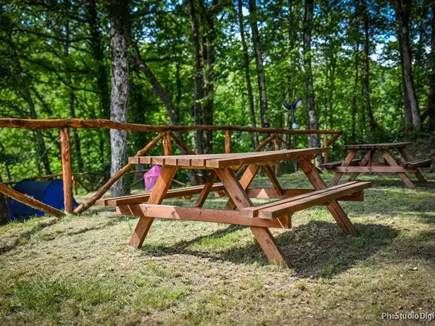 Immagine 12 di Casa indipendente in vendita  a Bagnone