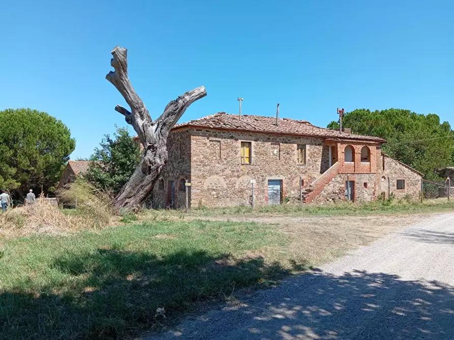 Immagine 2 di Casa colonica in vendita  a Cinigiano
