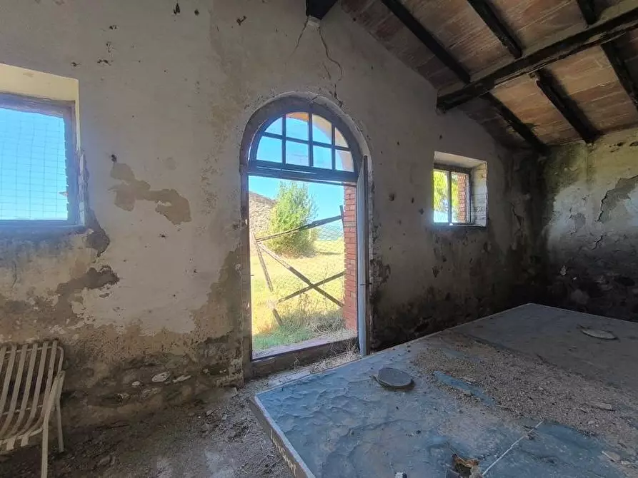 Immagine 34 di Casa colonica in vendita  a Cinigiano