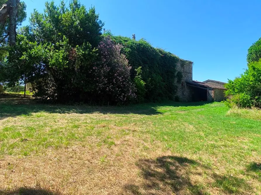 Immagine 22 di Casa colonica in vendita  a Cinigiano