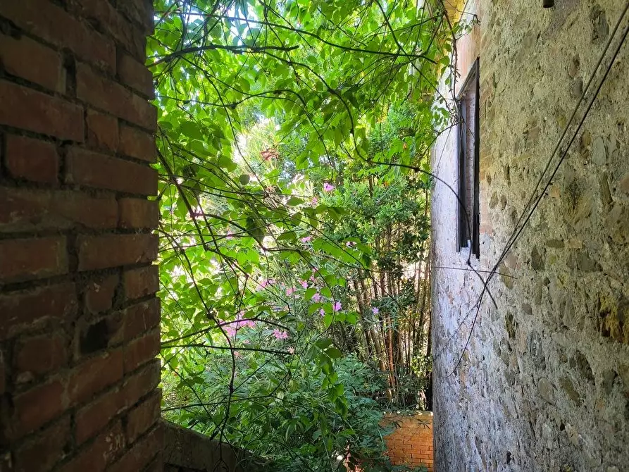 Immagine 13 di Casa colonica in vendita  a Cinigiano