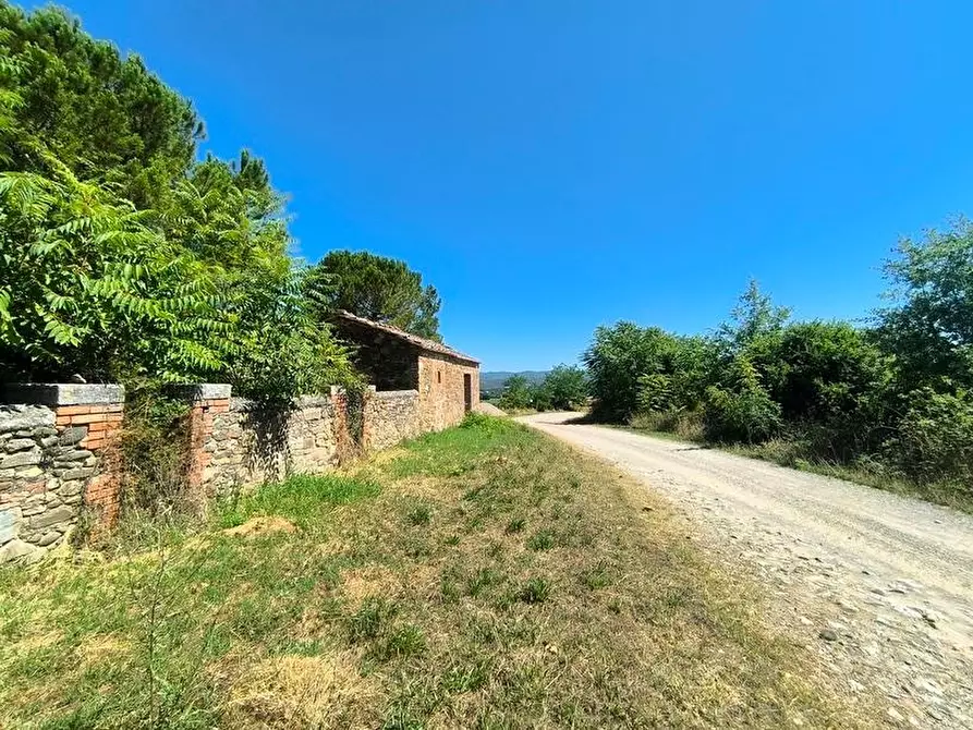 Immagine 8 di Casa colonica in vendita  a Cinigiano