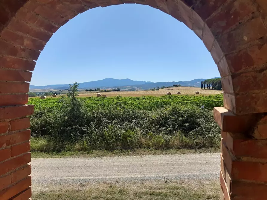 Immagine 4 di Casa colonica in vendita  a Cinigiano