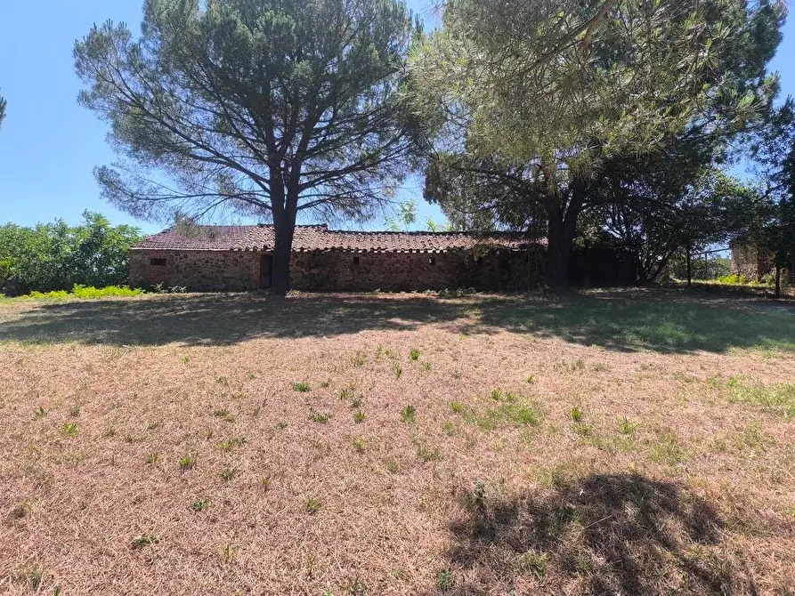 Immagine 21 di Casa colonica in vendita  a Cinigiano