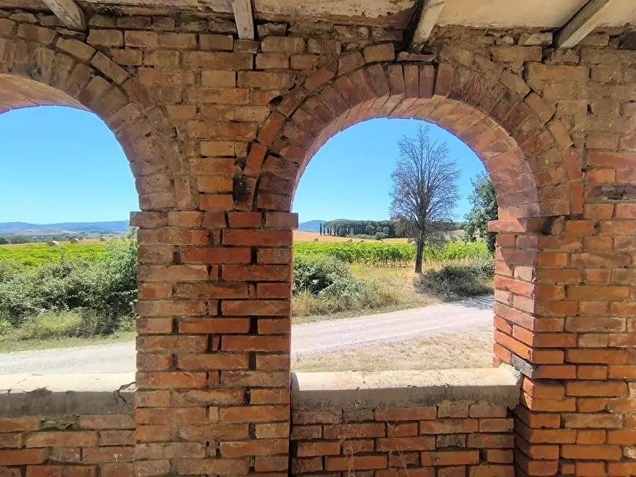 Immagine 11 di Casa colonica in vendita  a Cinigiano