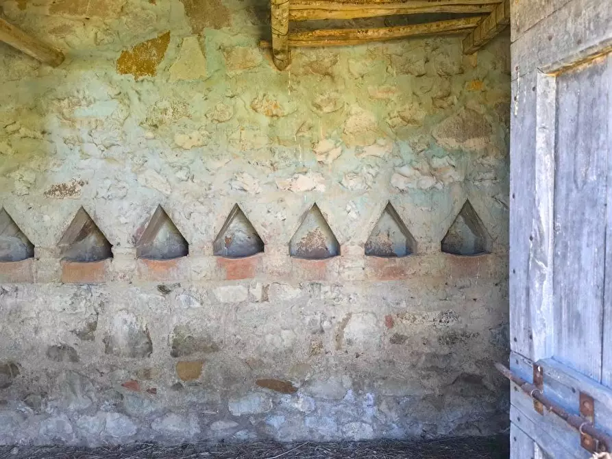 Immagine 27 di Casa colonica in vendita  a Cinigiano