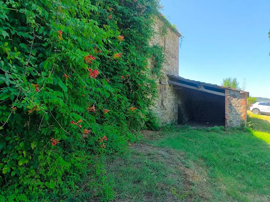 Immagine 24 di Casa colonica in vendita  a Cinigiano