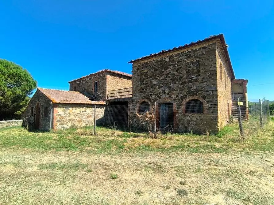 Immagine 29 di Casa colonica in vendita  a Cinigiano