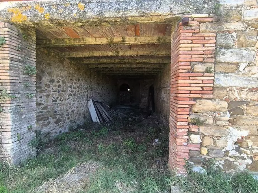 Immagine 9 di Casa colonica in vendita  a Cinigiano