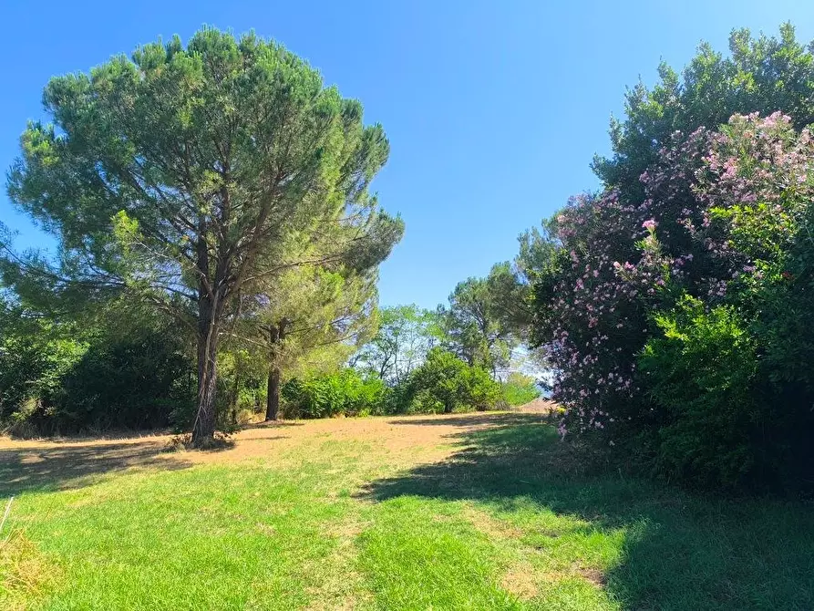 Immagine 25 di Casa colonica in vendita  a Cinigiano