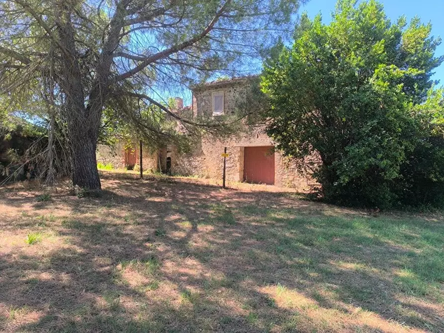 Immagine 20 di Casa colonica in vendita  a Cinigiano