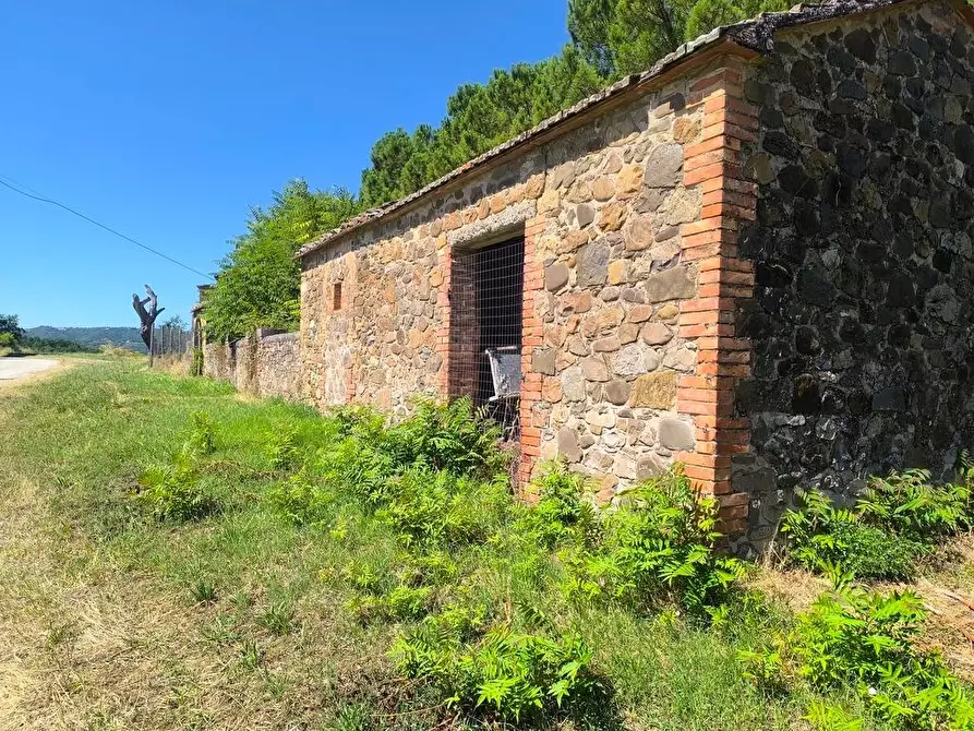 Immagine 18 di Casa colonica in vendita  a Cinigiano