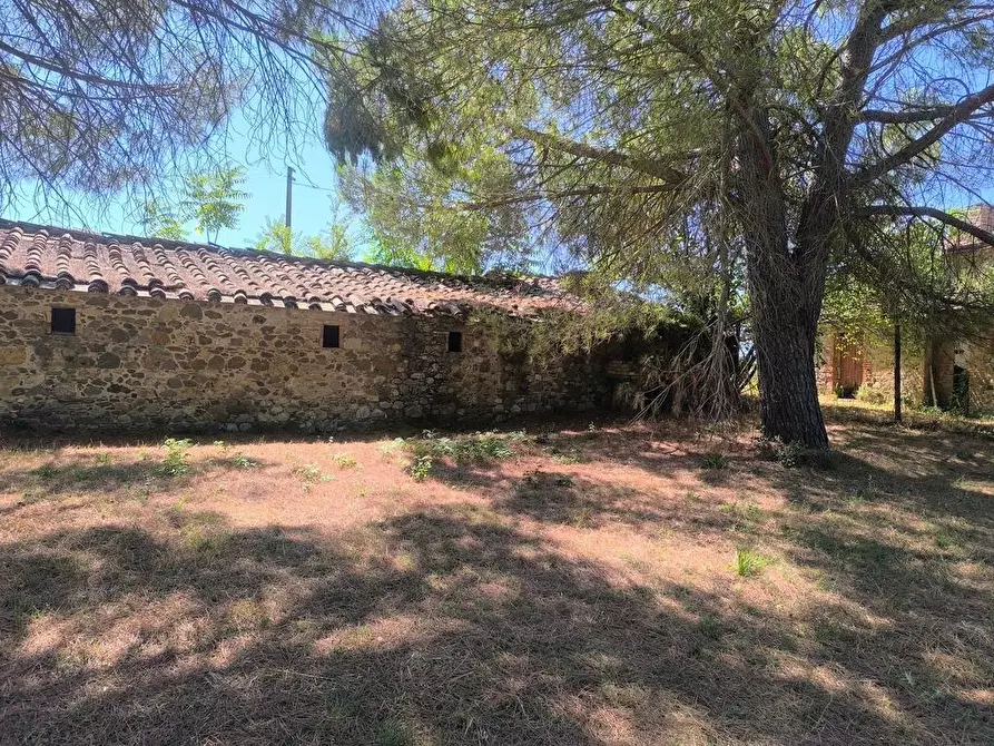 Immagine 19 di Casa colonica in vendita  a Cinigiano