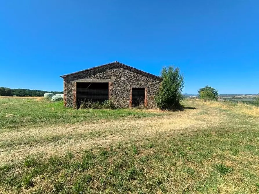 Immagine 33 di Casa colonica in vendita  a Cinigiano