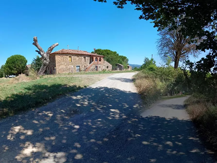 Immagine 3 di Casa colonica in vendita  a Cinigiano