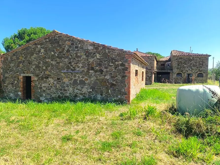 Immagine 28 di Casa colonica in vendita  a Cinigiano