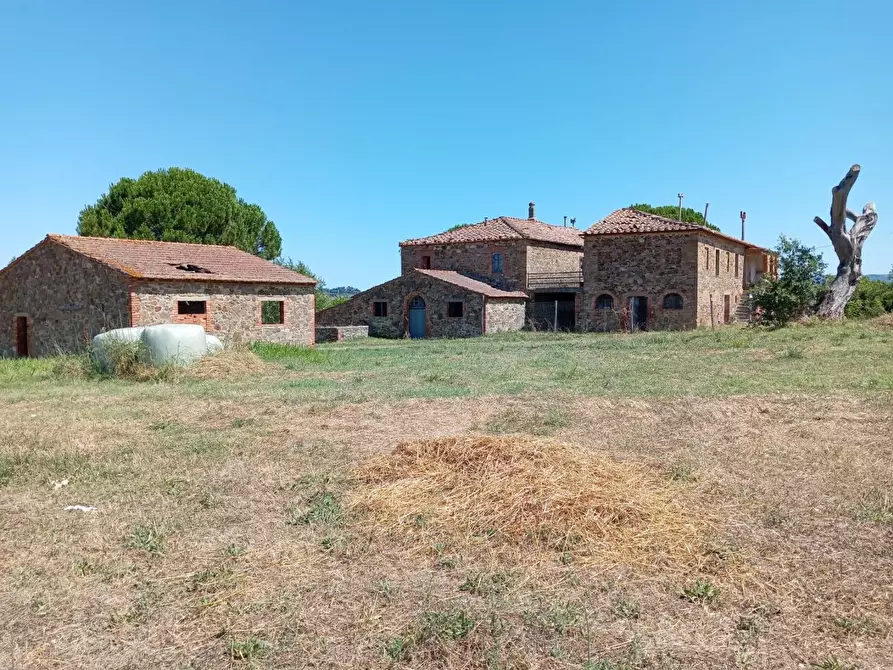 Immagine 1 di Casa colonica in vendita  a Cinigiano