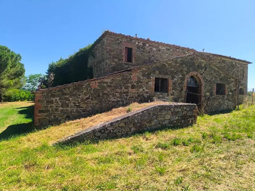 Immagine 26 di Casa colonica in vendita  a Cinigiano