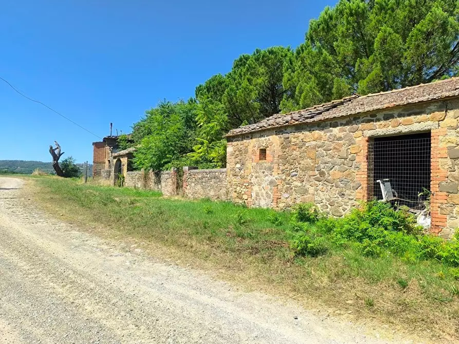Immagine 17 di Casa colonica in vendita  a Cinigiano