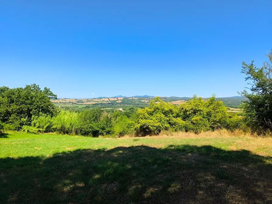 Immagine 23 di Casa colonica in vendita  a Cinigiano