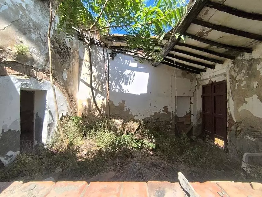 Immagine 12 di Casa colonica in vendita  a Cinigiano