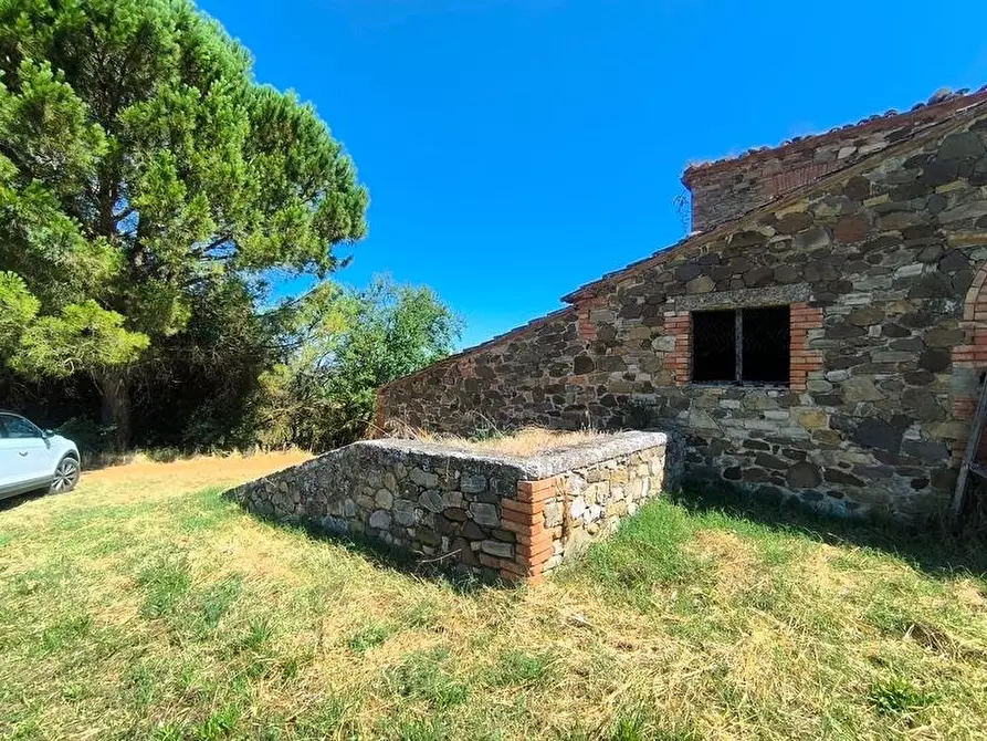 Immagine 32 di Casa colonica in vendita  a Cinigiano