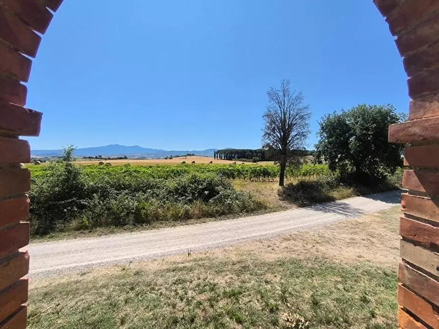 Immagine 10 di Casa colonica in vendita  a Cinigiano
